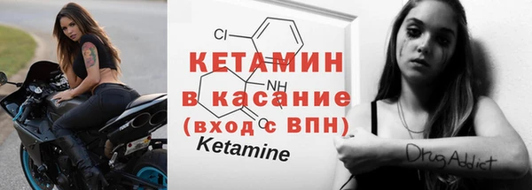 трава Аркадак