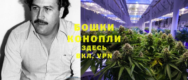 крисы Арсеньев