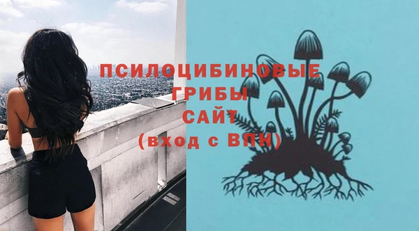 крисы Арсеньев