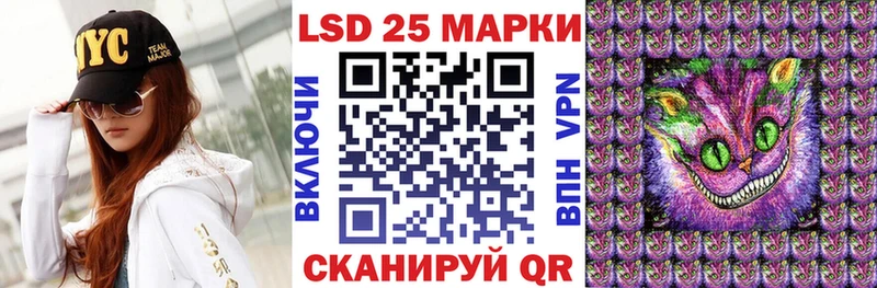 дарнет шоп  Каспийск  Марки NBOMe 1500мкг 