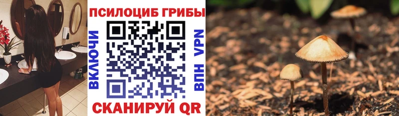 Псилоцибиновые грибы Magic Shrooms  Каспийск 