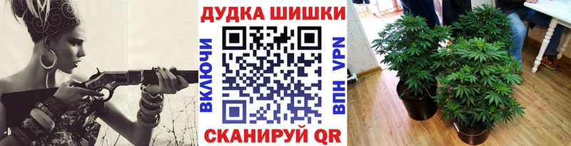 darknet наркотические препараты  Каспийск  Каннабис THC 21% 